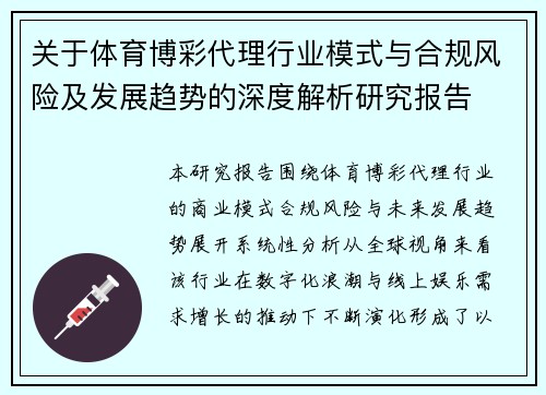 关于体育博彩代理行业模式与合规风险及发展趋势的深度解析研究报告